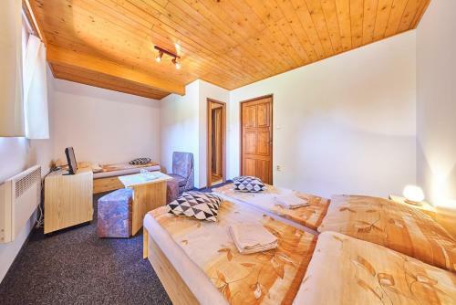 Hostal Penzion Pod Lesem