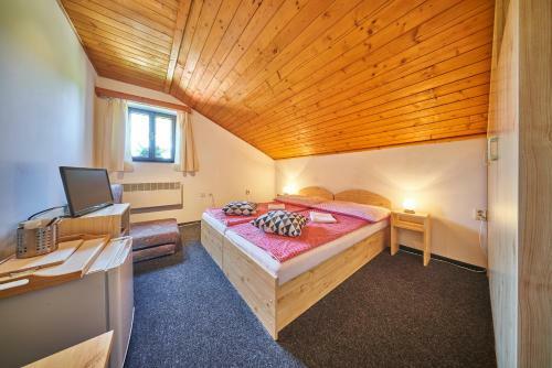 Hostal Penzion Pod Lesem