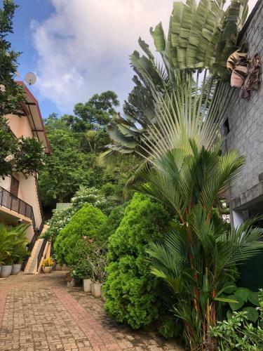 Hostal Kumar Guest House & Apartment