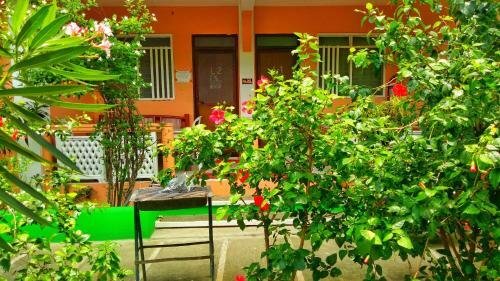 Hotel White Beach Guest House