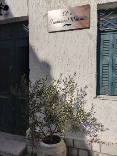 Olive Traditional Mansion