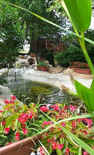 Bed & Breakfast L'amarre Aux Anges