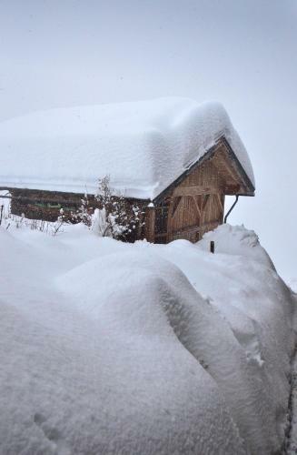 Apartamento Peintnerhof