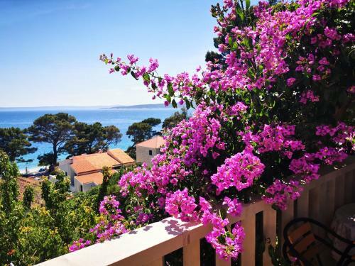 Apartment Luka Sodan -villa Bose
