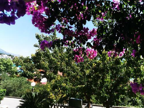 Apartment Luka Sodan -villa Bose