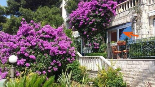 Apartment Luka Sodan -villa Bose