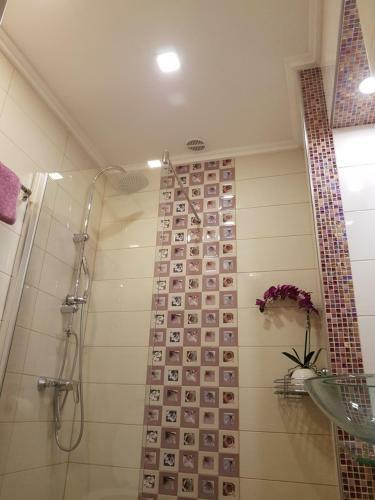 Apartment Luka Sodan -villa Bose