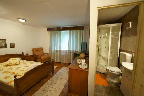 Hostal Pensiunea Aurora Albac