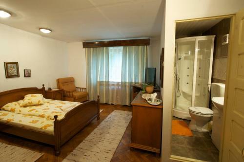 Hostal Pensiunea Aurora Albac