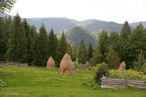 Hostal Pensiunea Aurora Albac