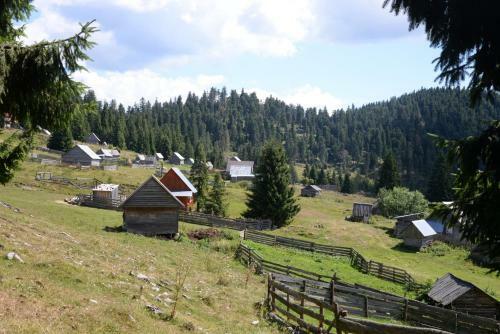 Hostal Pensiunea Aurora Albac