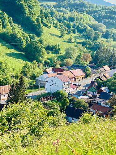 Hostal Pensiune Muntii Aninei