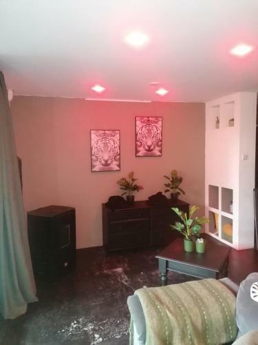 Apartamento AA Relaxen Sauna En Jacuzzi