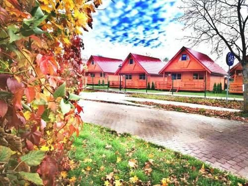 Dadaj Summer Camp - Ca?oroczne Domki Ruk?awki