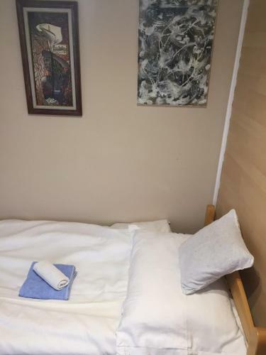 Villa Ku?a Na Obali Jezera Sa Bazenom