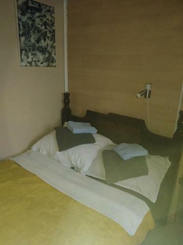Villa Ku?a Na Obali Jezera Sa Bazenom