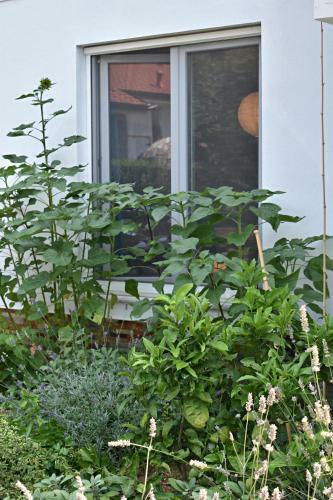 Apartamento Postaja 33