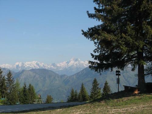Apartmaji Srnca