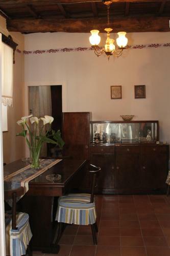 House Of Vine