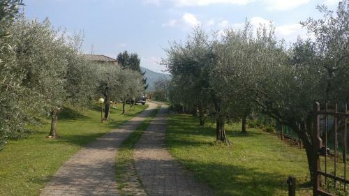 Apartamento Ca' Mirta