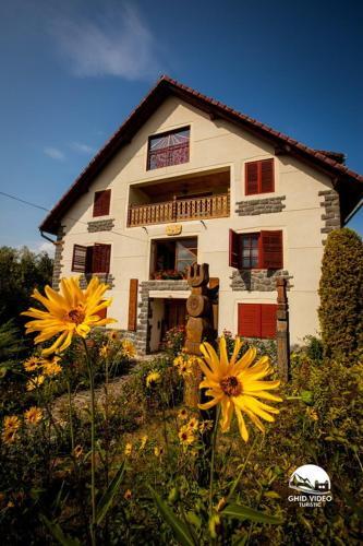 Hostal Pension Magnolia 1