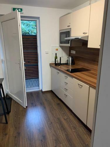 Apartm�n U Pl�?e S Terasou