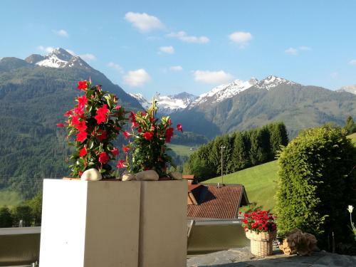 Apartamento Haus Salzachblick