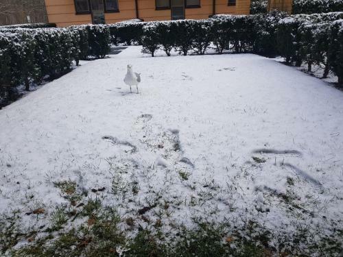 Apartamento ?winouj?cie Zdrojowa