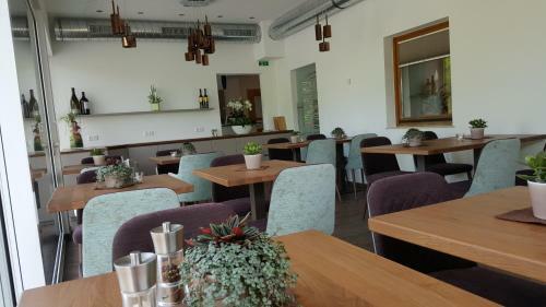Hostal Gasthaus-pension Sandner Linde