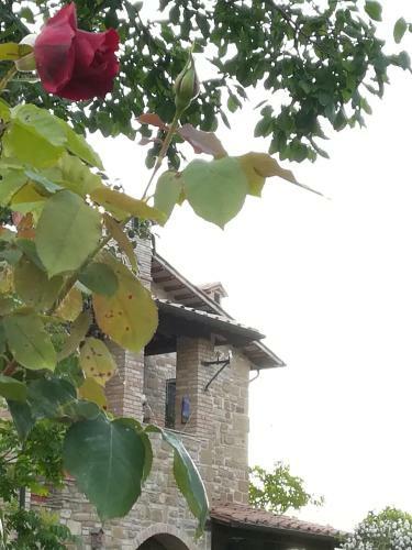 Agroturismo Casale Giuncheto