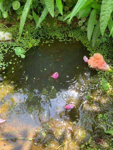 A Day In Lukang Homestay