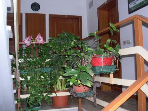 Apartamento Mansarda In Montagna