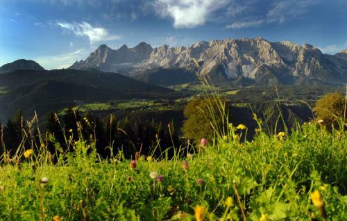 Apartamento Biobauernhof Brandlhof