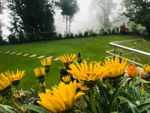 H.m.h Lodges & Hotel Resort