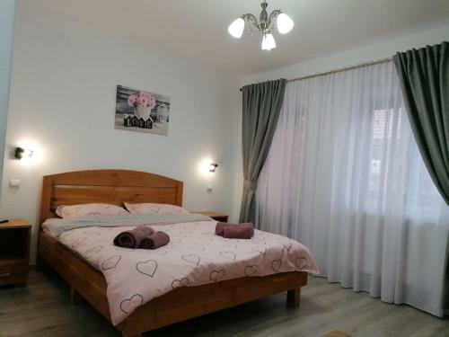 Hostal Pensiunea Diana