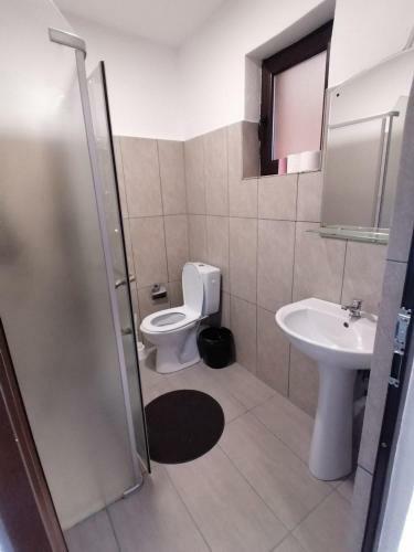 Hostal Pensiunea Diana