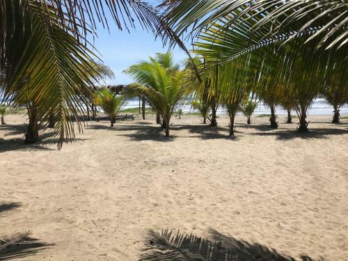 Apartamento Nichos Beach Villas