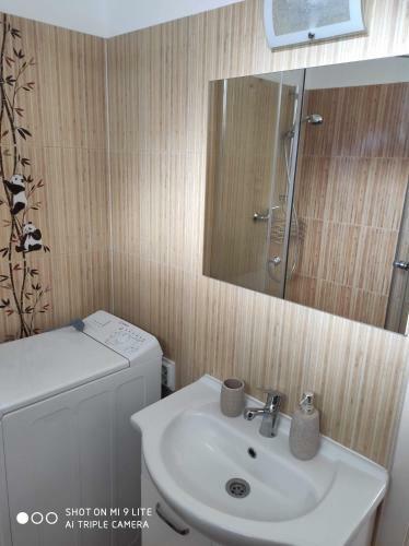 Alex Apartman