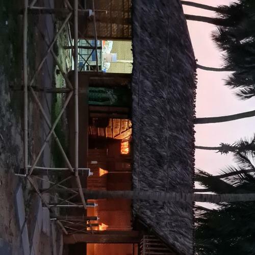 Hostal Coconut Tree Guest House