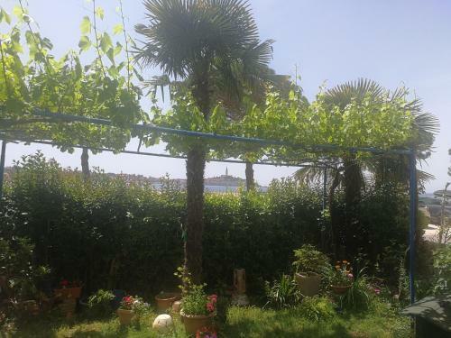Apartamento Rivamare - Rovinj