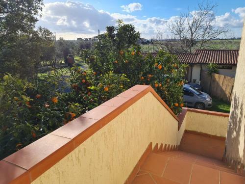 Bed & Breakfast Guesthouse L'acquarello
