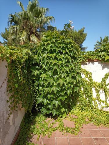 Bed & Breakfast Villa Grande