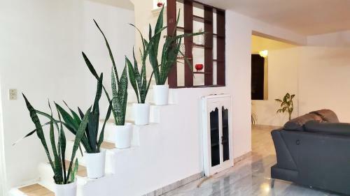 Apartamento Casa Alex Ciudad Del Carmen