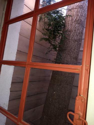 Apartamento El Tamarisco