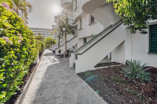 Optimist, Apartament Las Americas