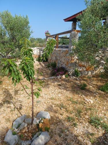 Agroturismo Robinzonski Smje?taj Tiha Draga