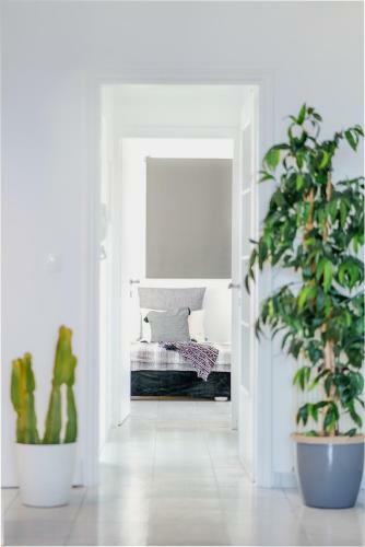 Bedspot Apartment Heraklion Crete
