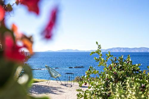 Sun And Sea Cottage