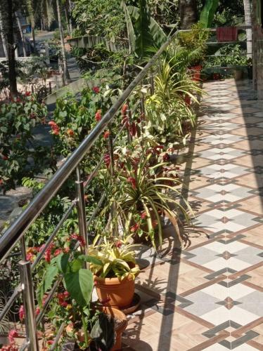 Hostal Jerone's Home Stay