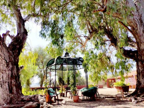 Agroturismo Casa Del Procurador